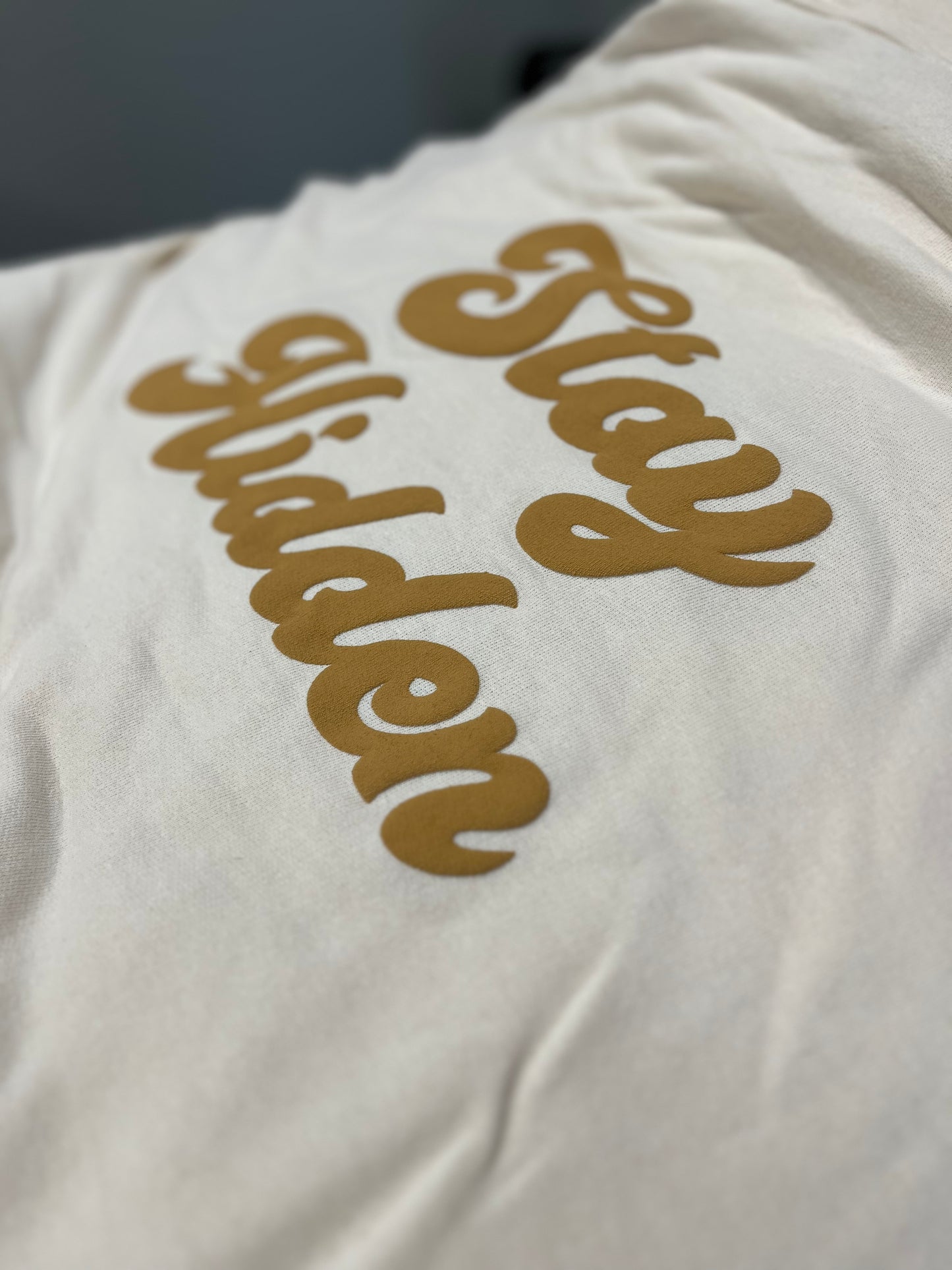 PUFF PRINT STAY HIDDEN HOODIE